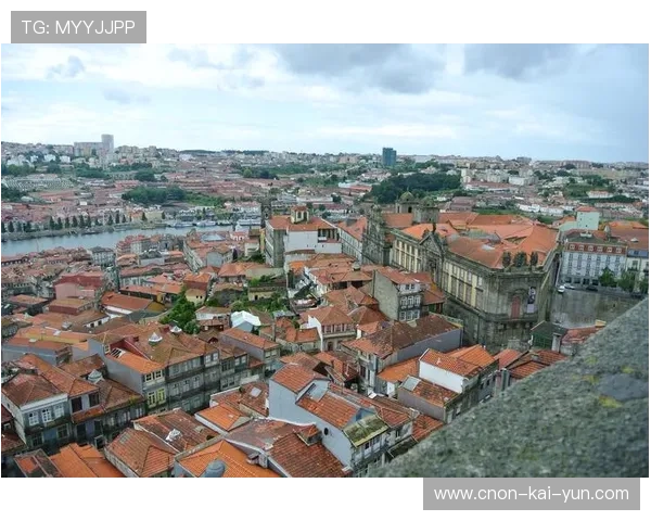 波尔图锁定南美后防之王，打造稳固铁壁引领欧洲豪门新纪元